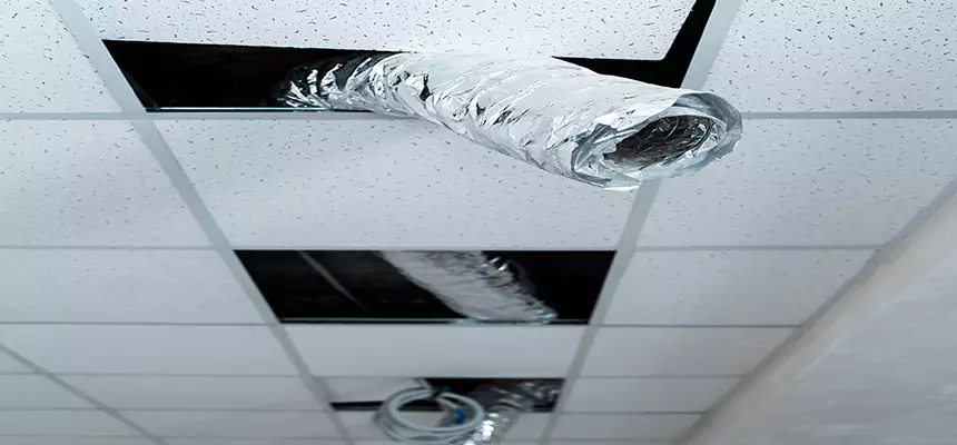 Our Air Duct Pet Hair Removal Services in Schenectady, NY