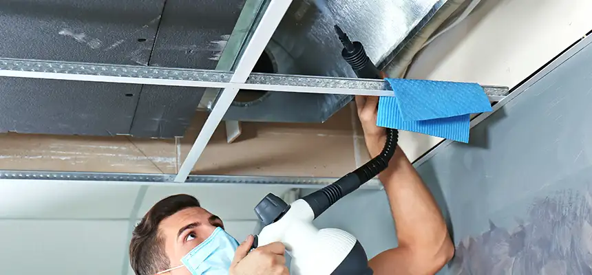 Our Air Duct Rodent Removal Services in Schenectady, NY