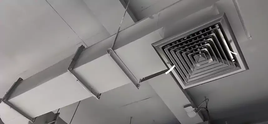 Our Pest Removal From Ducts Services in Schenectady, NY