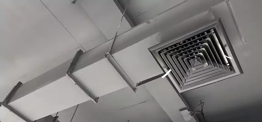 Our Rodent Droppings In Vents Services in Schenectady, NY