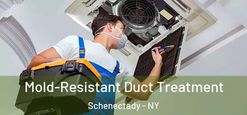  Mold-Resistant Duct Treatment Schenectady - NY