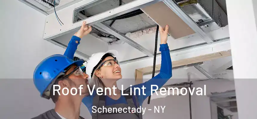  Roof Vent Lint Removal Schenectady - NY