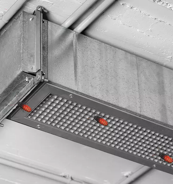 About Air Duct Cockroach Removal in Schenectady, NY