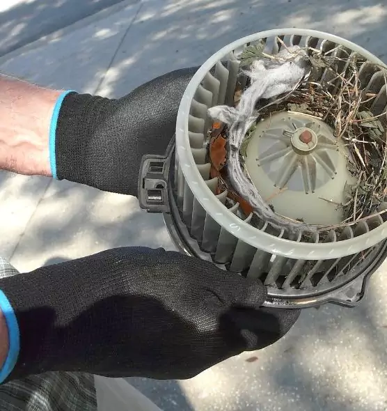 About Air Duct Rat Removal in Schenectady, NY