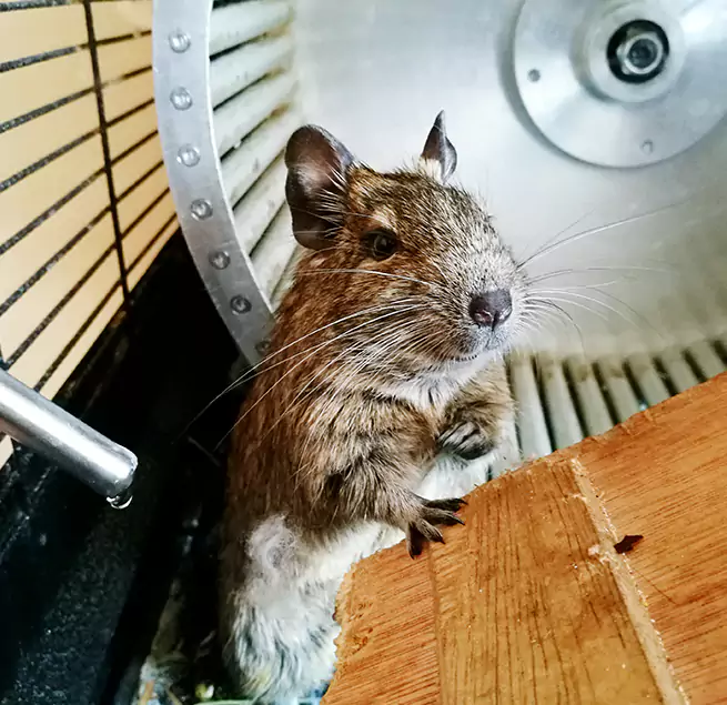 Why Homeowners & Businesses Trust Us Schenectady, NY?